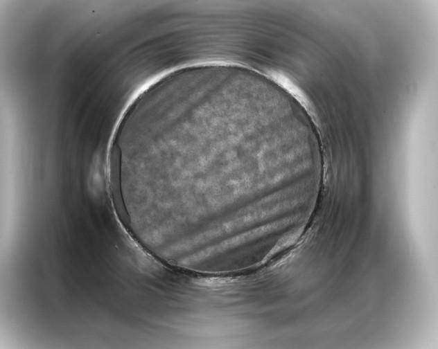 X0000086891380200704300948