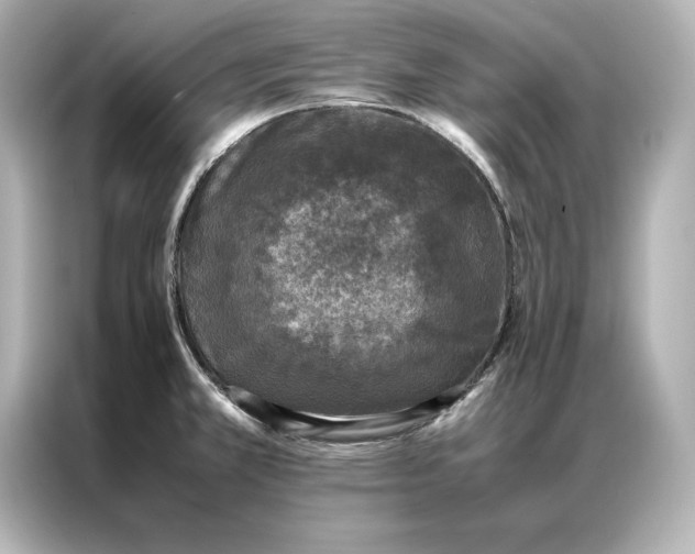 X0000086891381200704300948