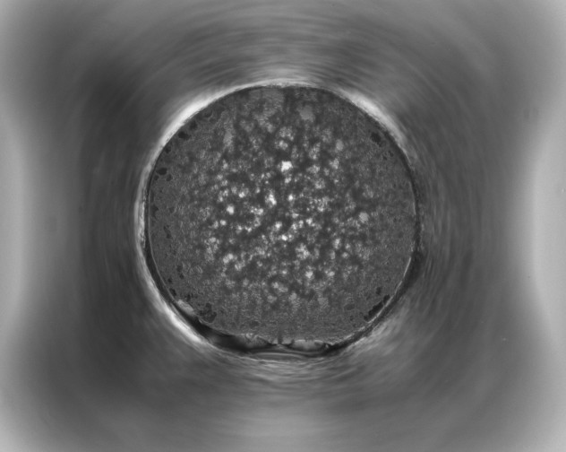 X0000086891383200704300948