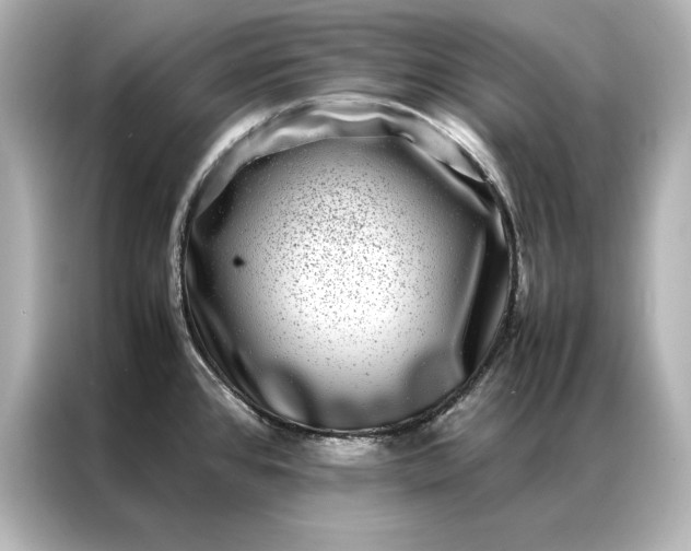 X0000086891384200704300948