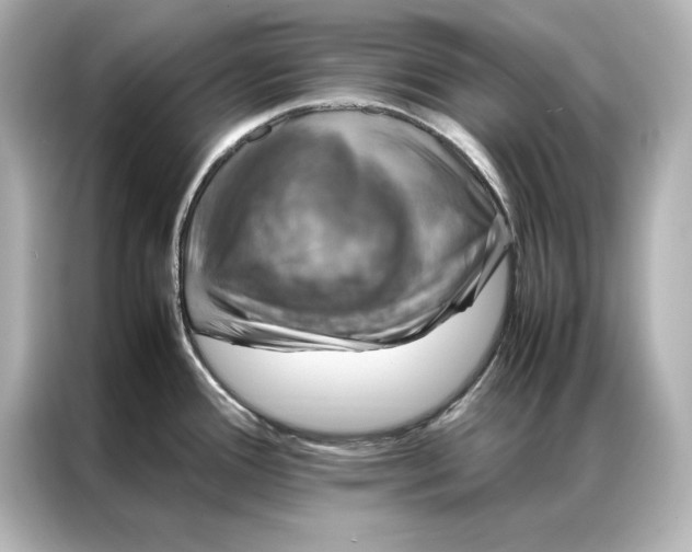 X0000086891388200704300948