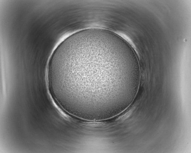 X0000086891391200704300948