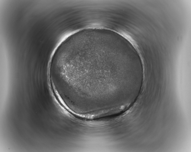 X0000086891392200704300948