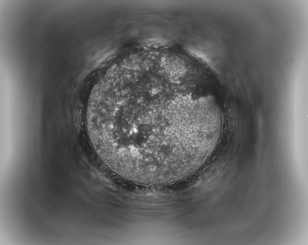 X0000086891399200704300947