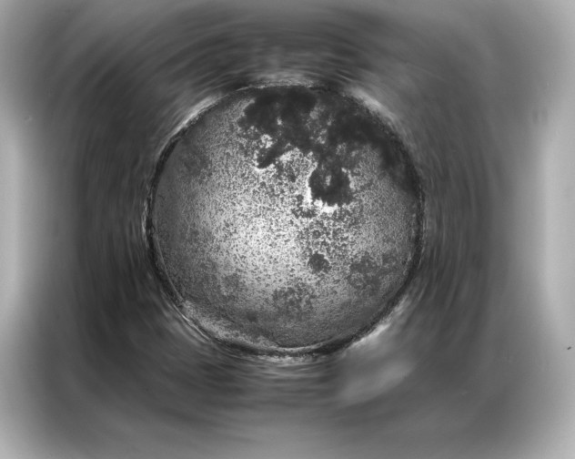 X0000086891401200704300947