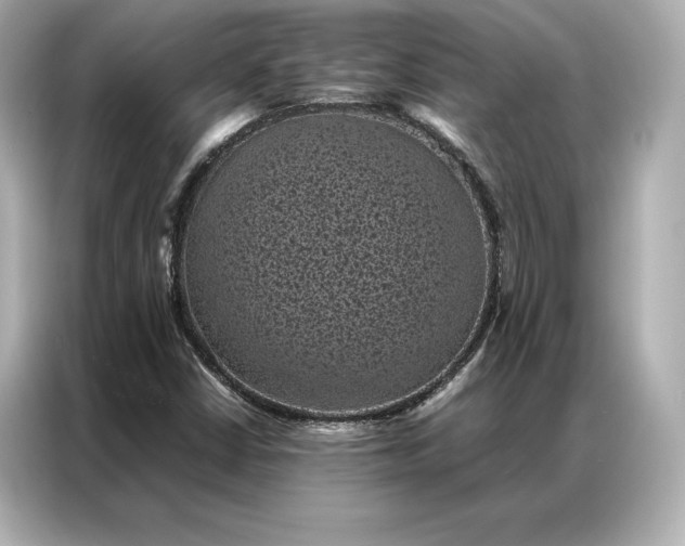 X0000086891402200704300947