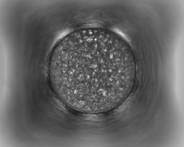 X0000086891405200704300947