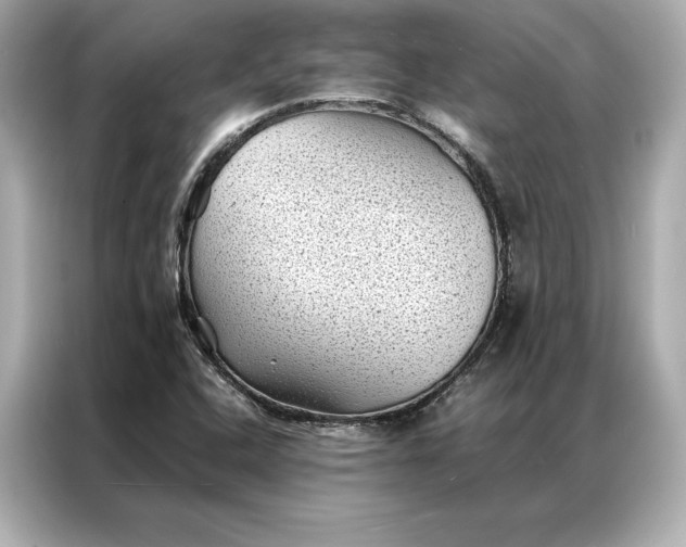 X0000086891408200704300947