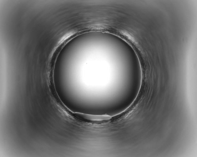 X0000086891410200704300947