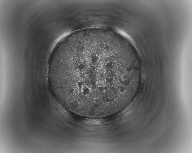 X0000086891411200704300948