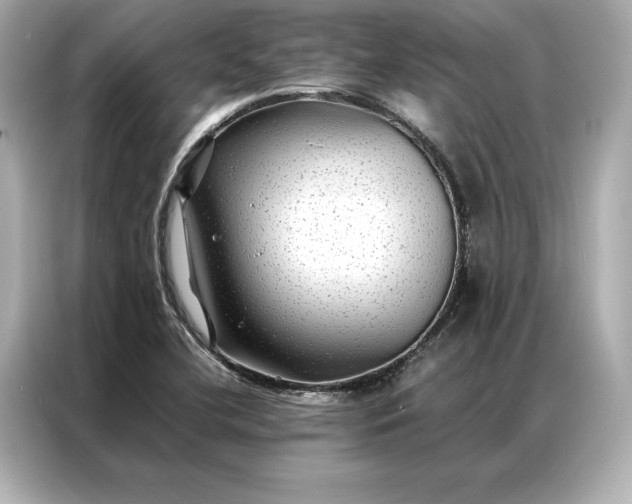 X0000086891412200704300948