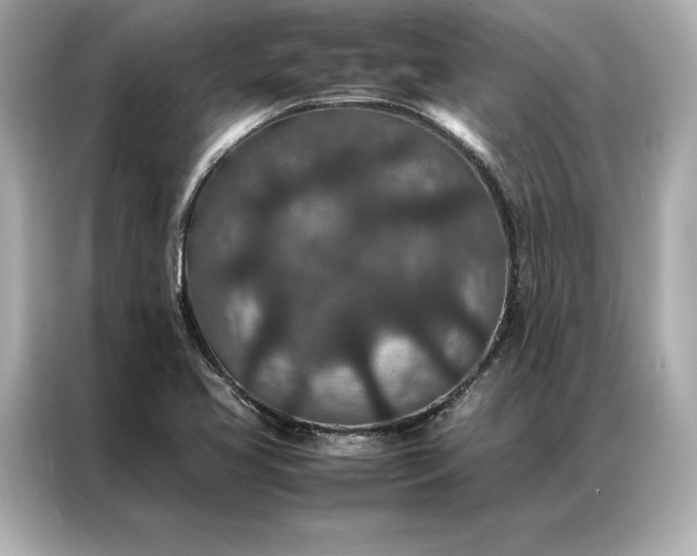 X0000086891413200704300948