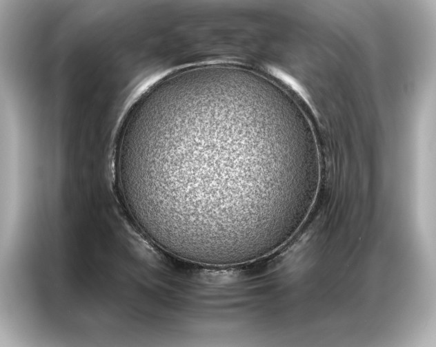 X0000086891415200704300948