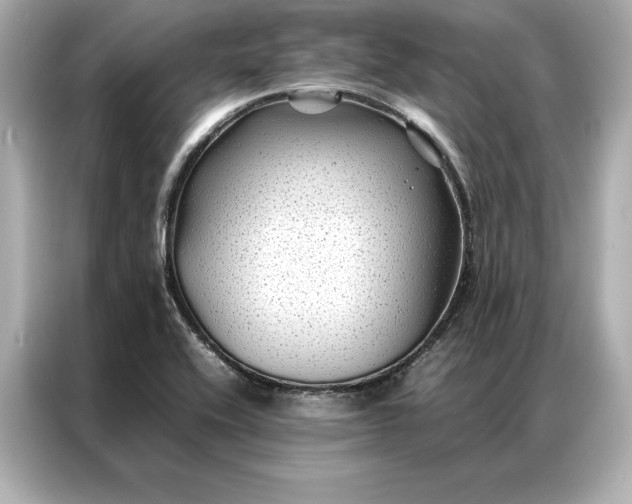 X0000086891416200704300948