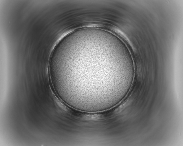 X0000086891417200704300948