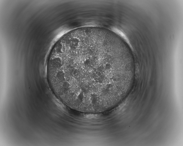 X0000086891419200704300948