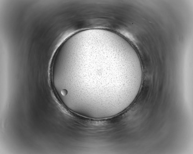 X0000086891423200704300948