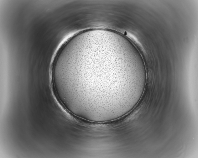 X0000086891424200704300948