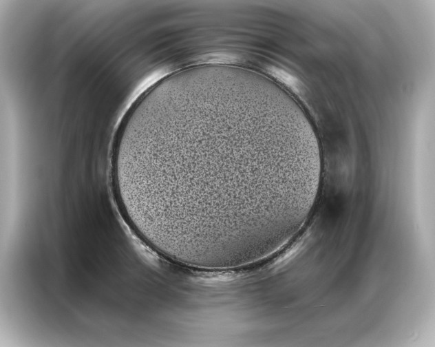 X0000086891426200704300948