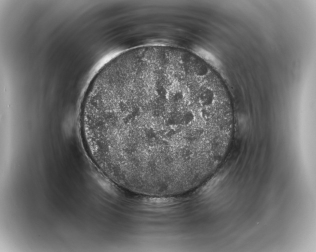 X0000086891427200704300948