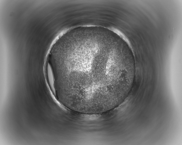 X0000086891429200704300948