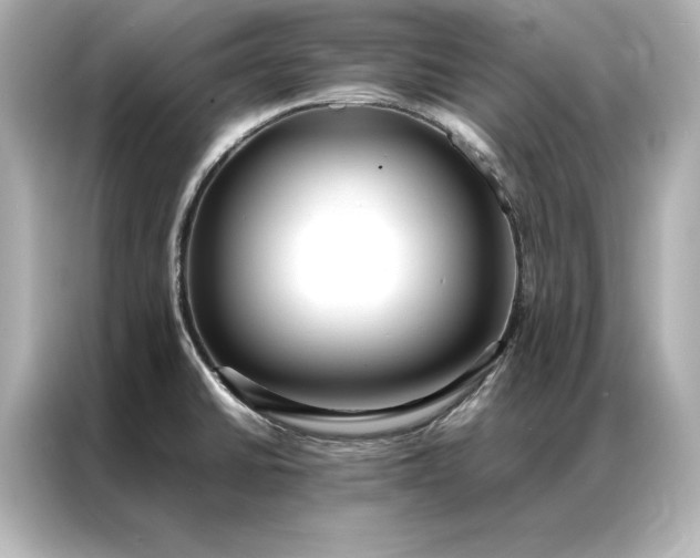 X0000086891430200704300948