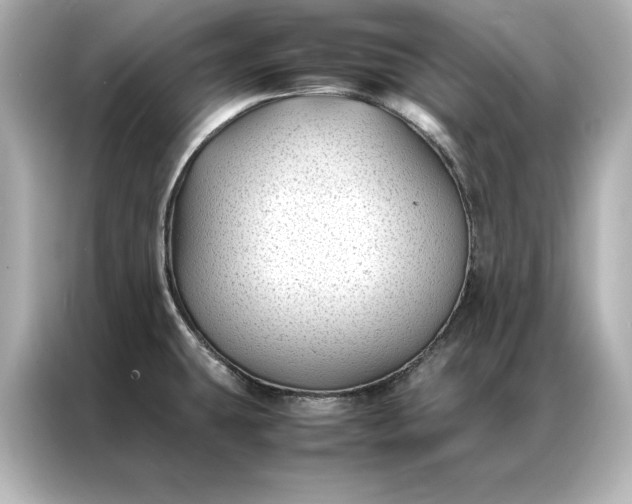 X0000086891431200704300948