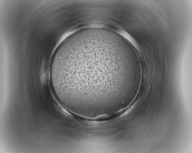 X0000086891436200704300948