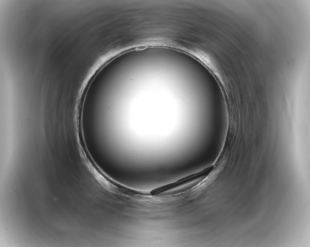 X0000086891438200704300948