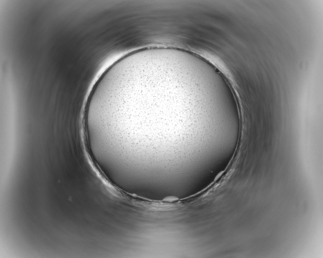 X0000086891440200704300948