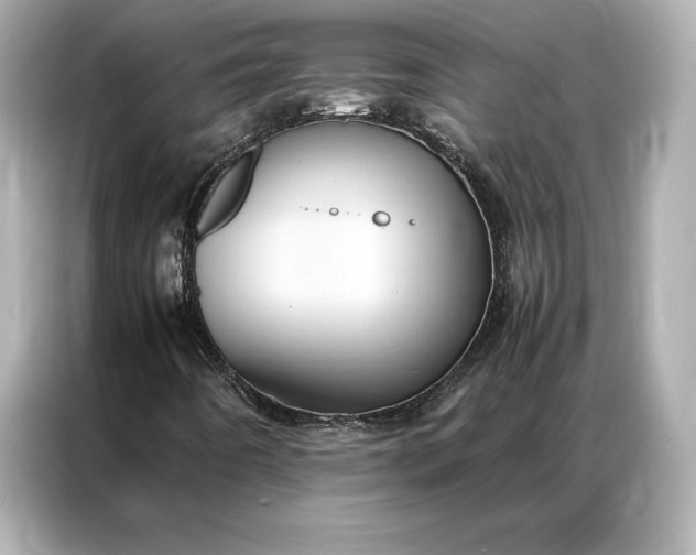 X0000086891442200704300947