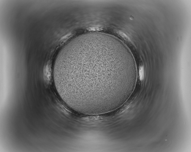 X0000086891444200704300947