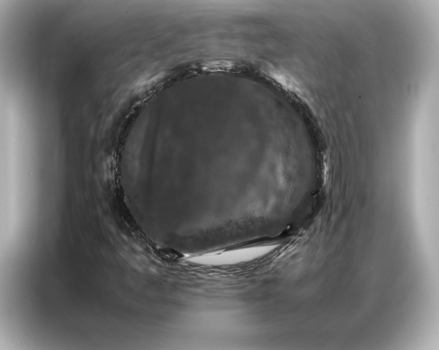 X0000086891445200704300947