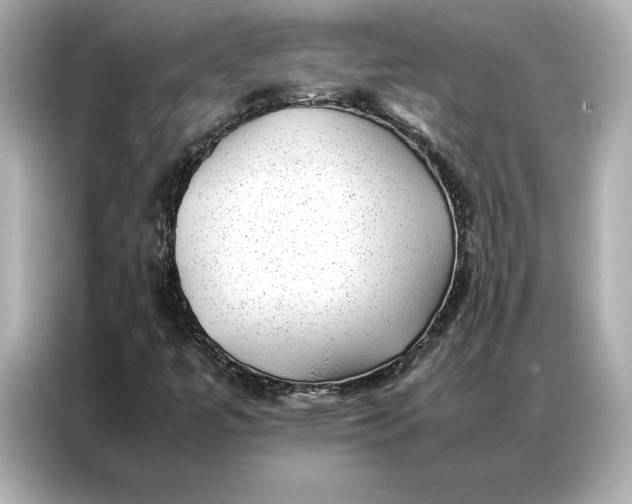 X0000086891447200704300947