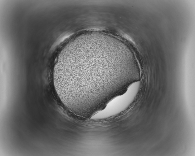 X0000086891448200704300947