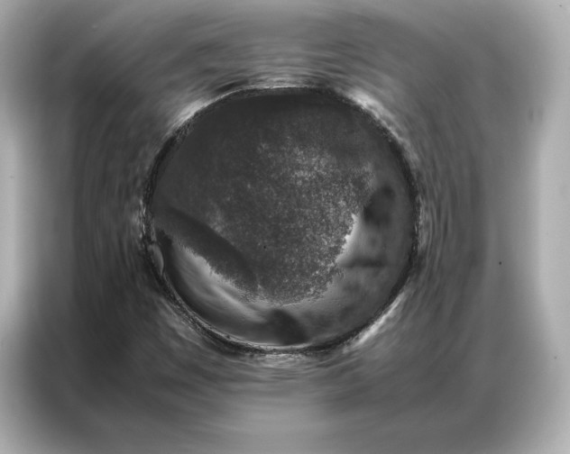 X0000086891449200704300947