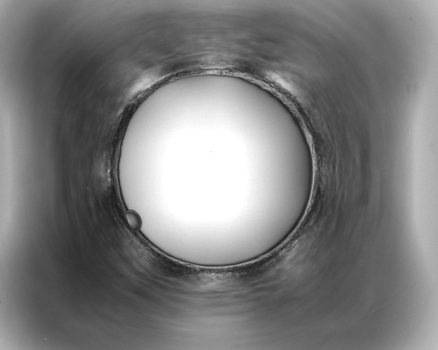 X0000086891451200704300947