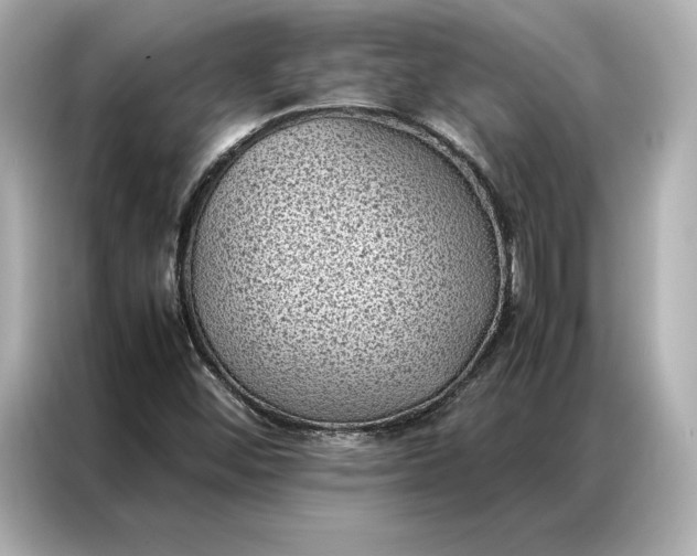 X0000086891452200704300947