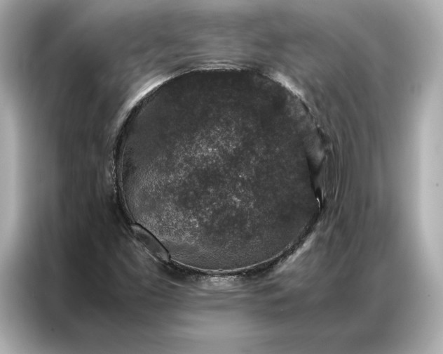 X0000086891453200704300947