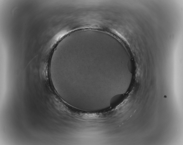 X0000086891455200704300947