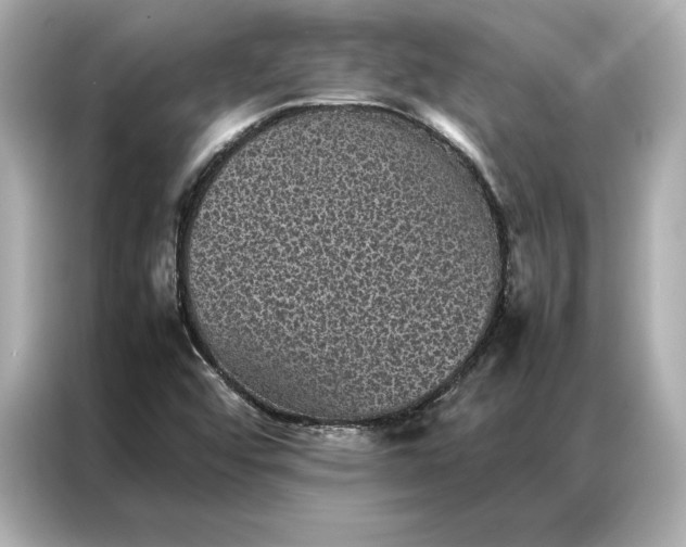 X0000086891456200704300947