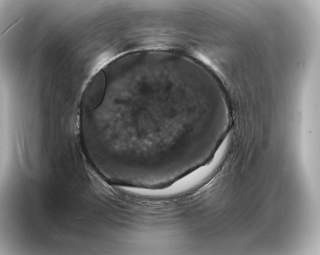 X0000086891459200704300947