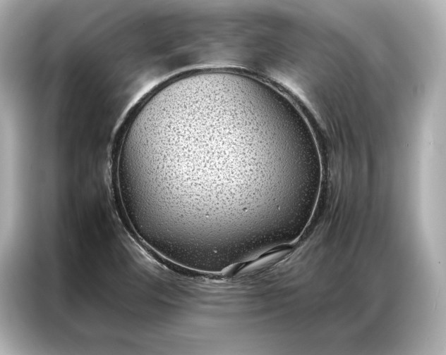 X0000086891460200704300947