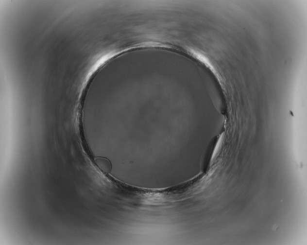 X0000086891463200704300947