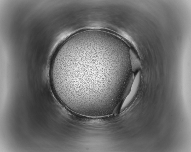 X0000086891464200704300947