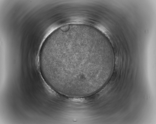 X0000086891466200704300947