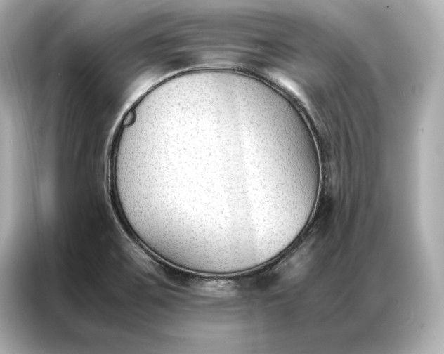 X0000086891467200704300947