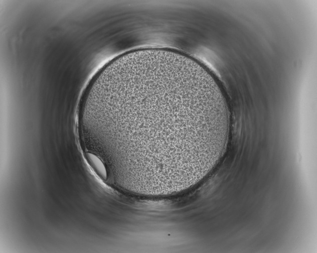 X0000086891468200704300947