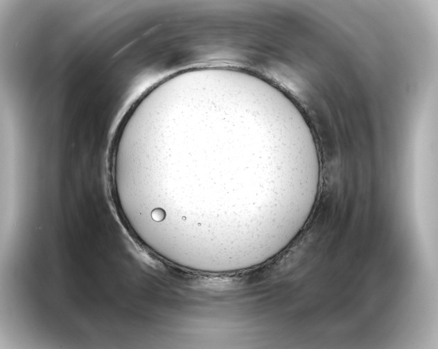 X0000086891470200704300947