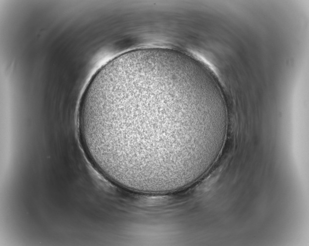 X0000086891471200704300947